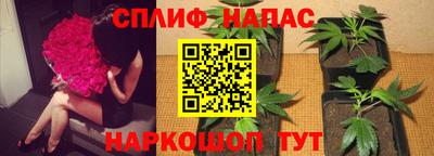 a pvp Рыбинск