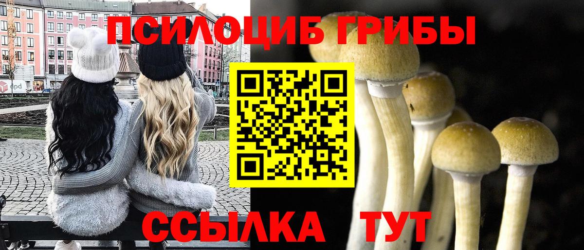 Галлюциногенные грибы Psilocybe  Псилоцибиновые грибы GOLDEN TEACHER  Вход с VPN  Севастополь 